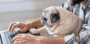 Working from home and feeling disconnected? Here are our top 5 virtual team building activities - Featured image